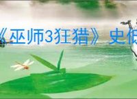 《巫师3狂猎》史低价格介绍