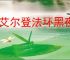 《艾尔登法环黑夜君临》豪华版介绍