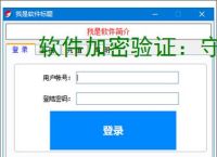 软件加密验证：守护数字资产安全的核心技术