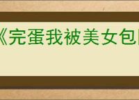 《完蛋我被美女包围了2》愿为西南风长逝入君怀结局达成方式