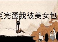 《完蛋我被美女包围了2》继承demo存档方式