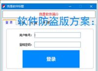 软件防盗版方案：保护开发者权益的必备措施