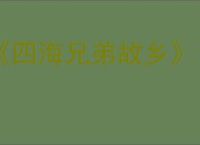 《四海兄弟故乡》ign评分介绍