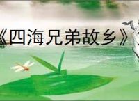 《四海兄弟故乡》第二章贵重物品全收集