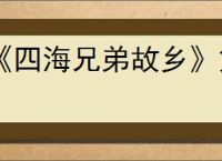 《四海兄弟故乡》第八章贵重物品全收集