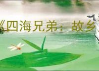 《四海兄弟：故乡》最好的珠饰推荐