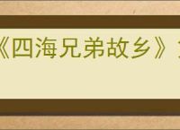 《四海兄弟故乡》第十章贵重物品全收集