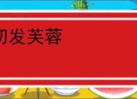 初发芙蓉