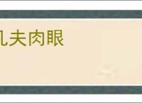 凡夫肉眼