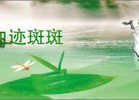 血迹斑斑