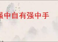强中自有强中手