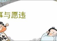 事与愿违