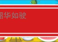 韶华如驶