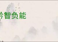 矜智负能