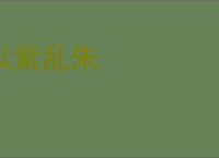 以紫乱朱