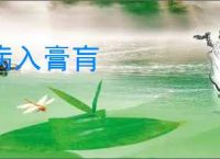病入膏肓