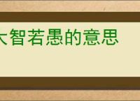 大智若愚的意思