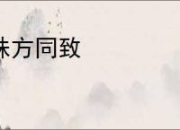 殊方同致