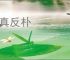 归真反朴