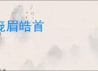 庞眉皓首