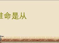 惟命是从