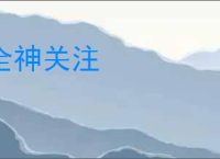 全神关注