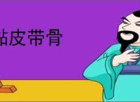 黏皮带骨