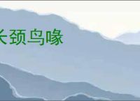 长颈鸟喙