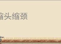 缩头缩颈