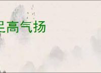 足高气扬