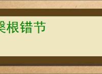 槃根错节
