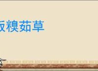 饭糗茹草