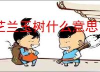 芝兰玉树什么意思