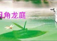 日角龙庭