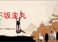下坂走丸