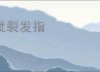 眦裂发指