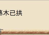 墓木已拱
