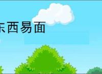 东西易面