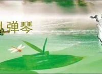 乱弹琴
