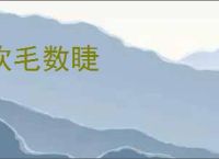吹毛数睫