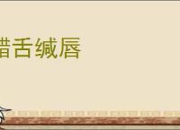 齰舌缄唇
