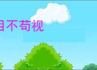 目不苟视