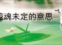 惊魂未定的意思