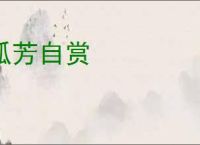 孤芳自赏
