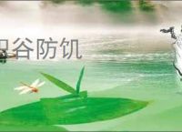 积谷防饥