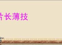 片长薄技