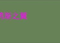 鸿渐之翼