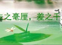 失之毫厘，差之千里