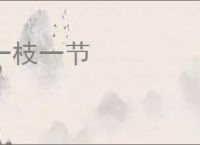 一枝一节