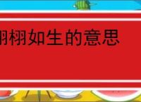 栩栩如生的意思